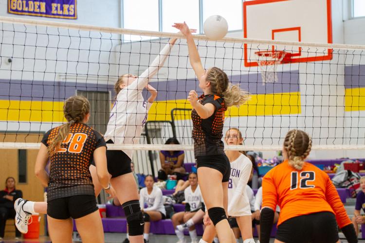 Rising Sun spoils Elkton's return to home gym Sports