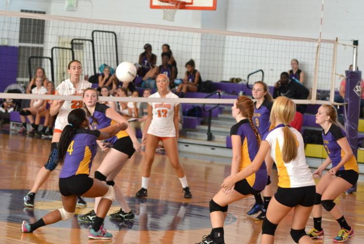 Fallston vs. Elkton volleyball Sports Gallery