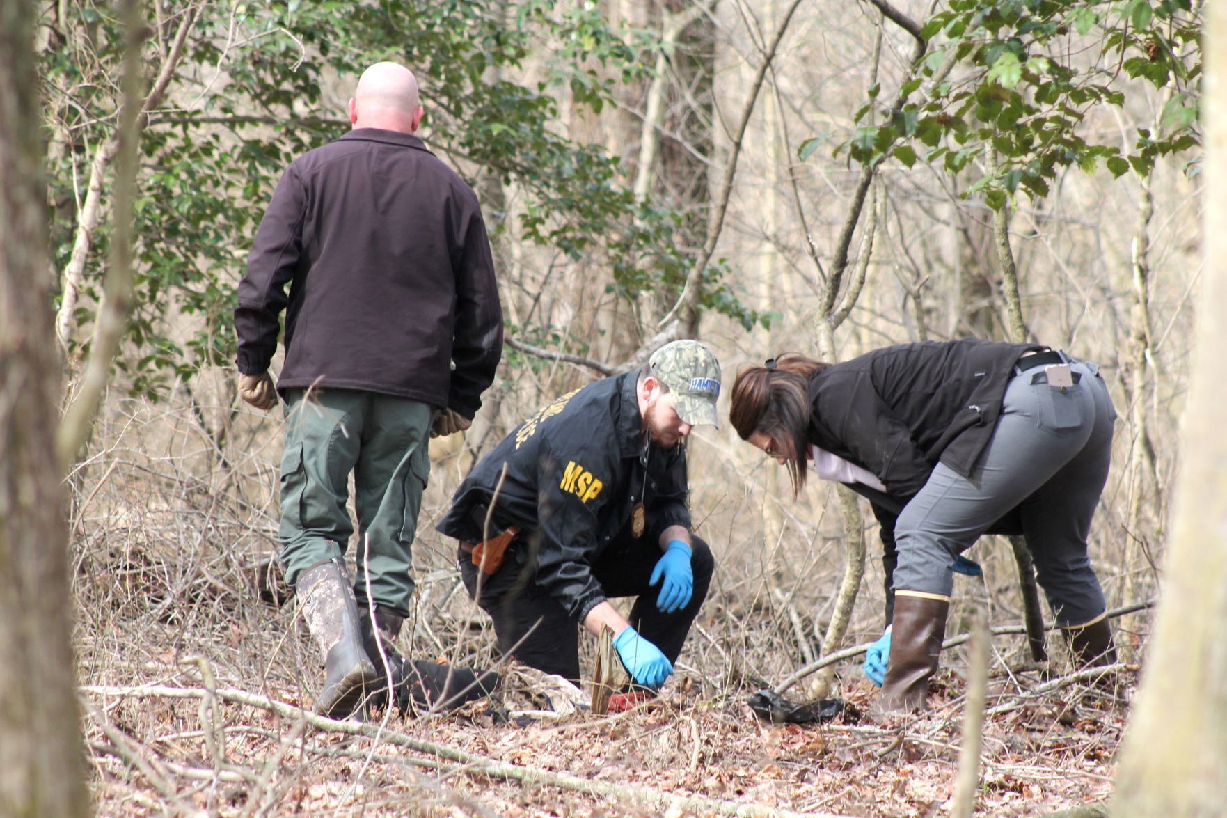 Human Remains Found In Woods Near Elkton | Police And Fire News ...