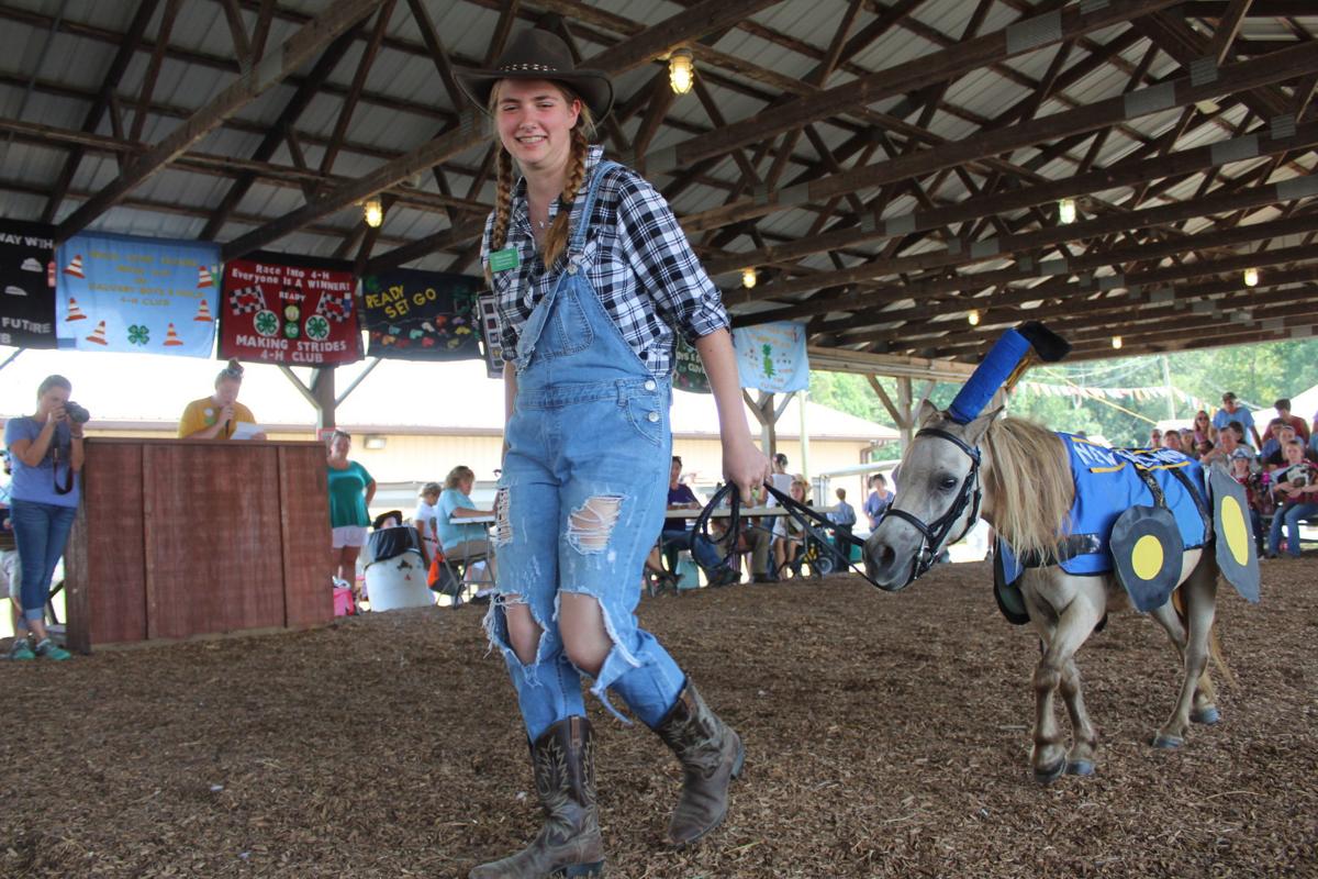 Cecil Fair Pretty Animal Contest