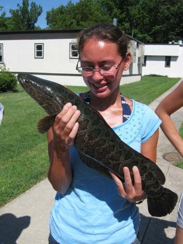 Snakehead hooked in Delaware waterways, Local News