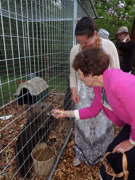 Plumpton Park fundraiser benefits zoo's tigers | Local News ...