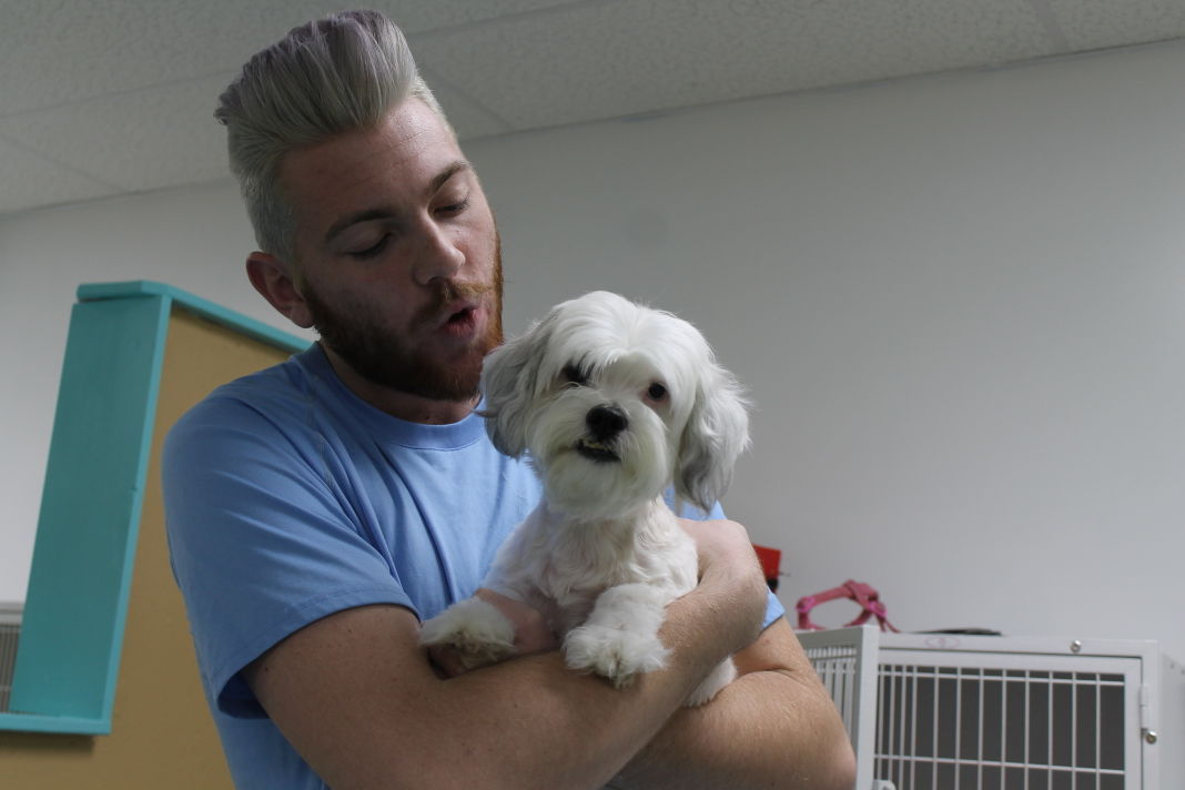 Puppy Love Grooming Salon / Puppy Love Pet Grooming Salon We've been