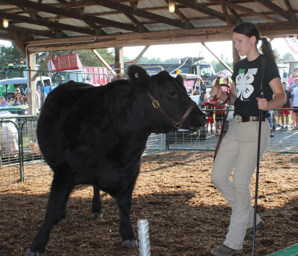 Cecil County Fair Livestock Auction