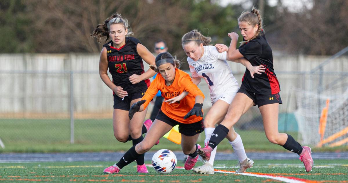 Perryville's three-goal rally sends Panthers to 1A title game | Sports ...