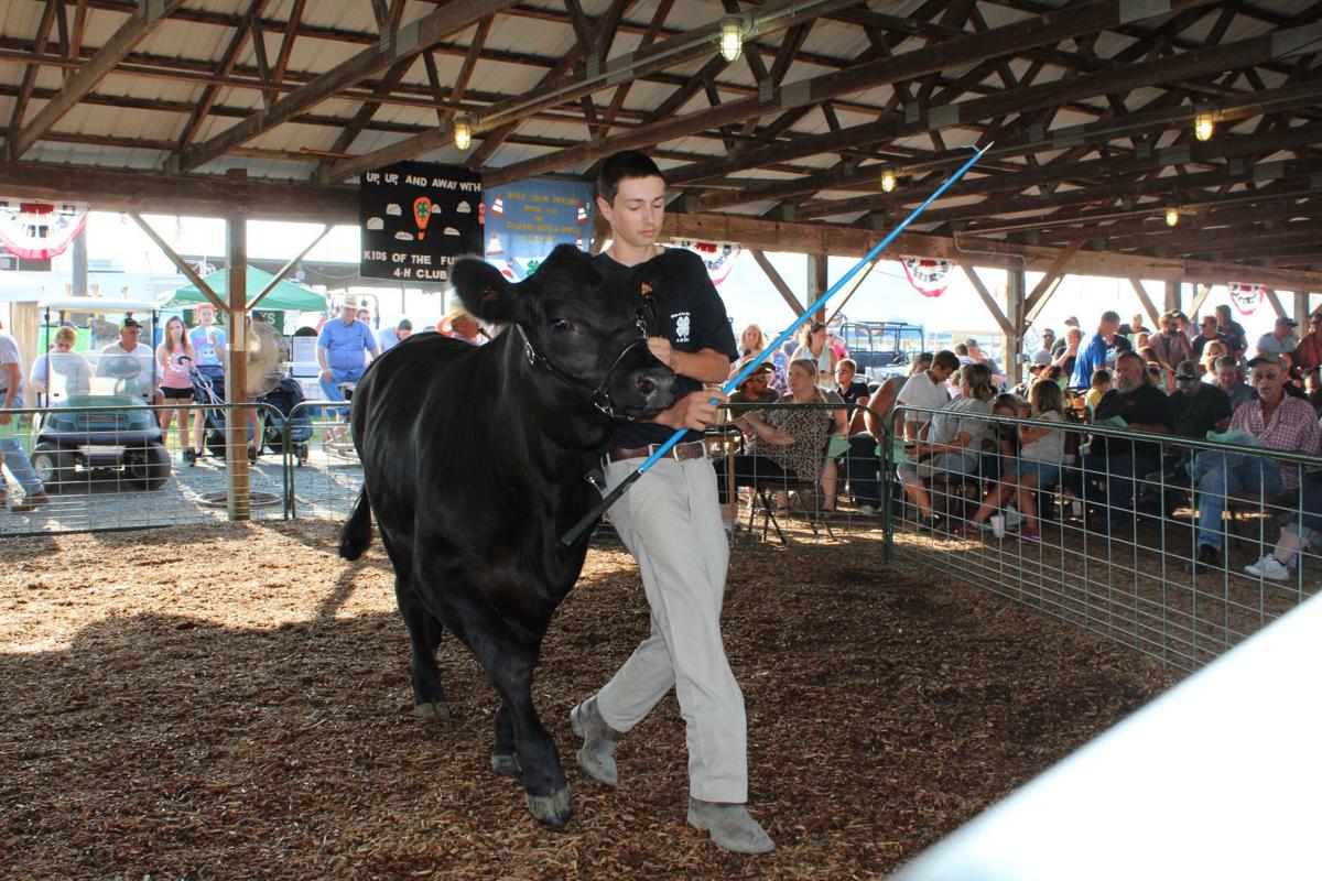 Cecil County Fair Livestock Auction