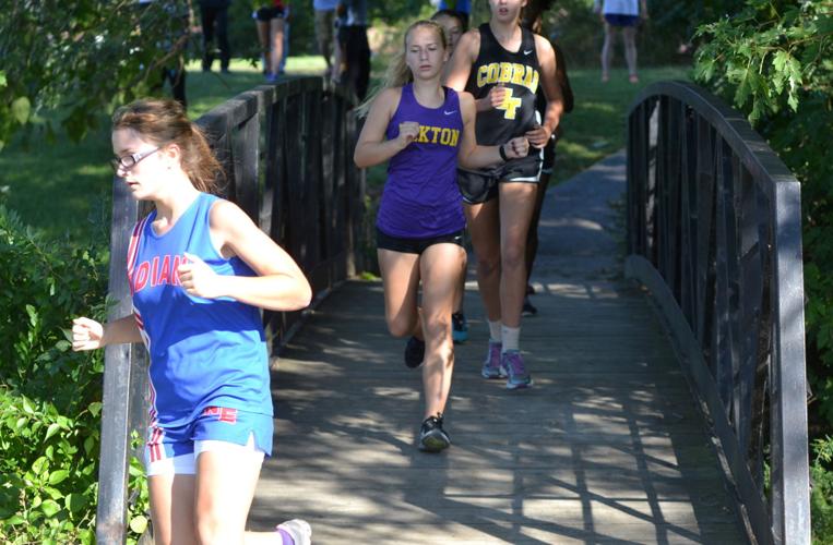 Eagles shine at Susquehanna Division Meet High Schools