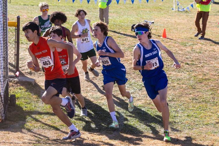 Cecil County XC runners end season at state championships | Push ...