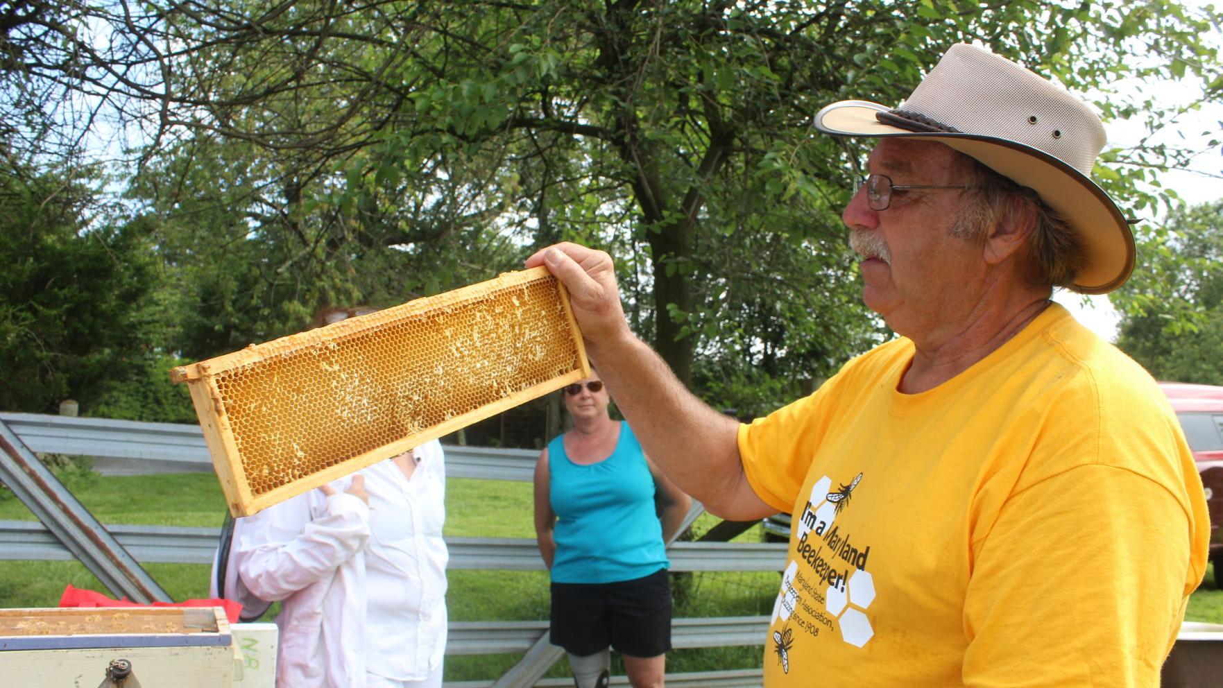 Beekeeping class gets students buzzing - Vimarsana News