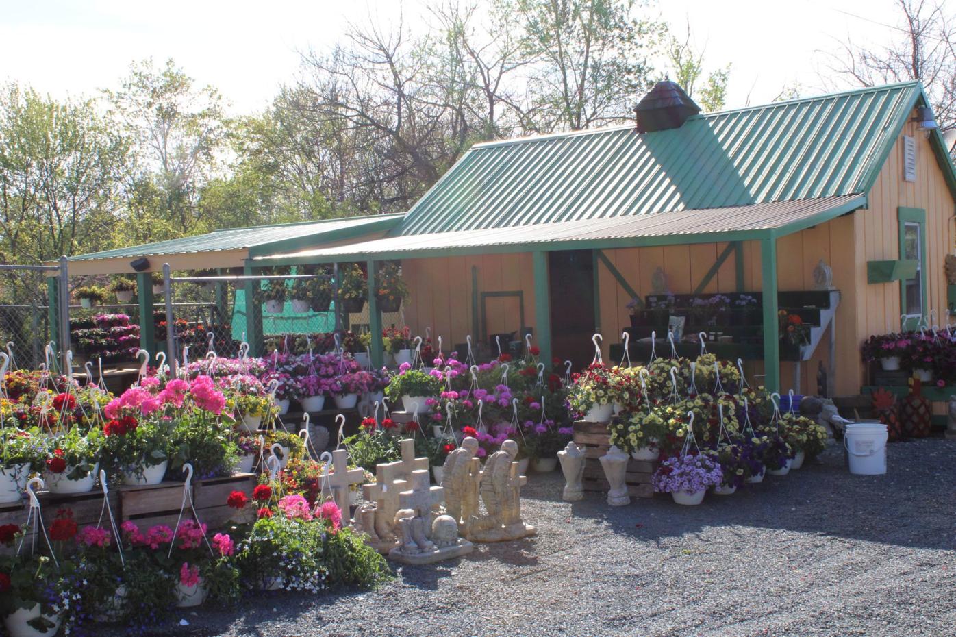 Biz Beat The Corner Garden blooms in Fair Hill Business