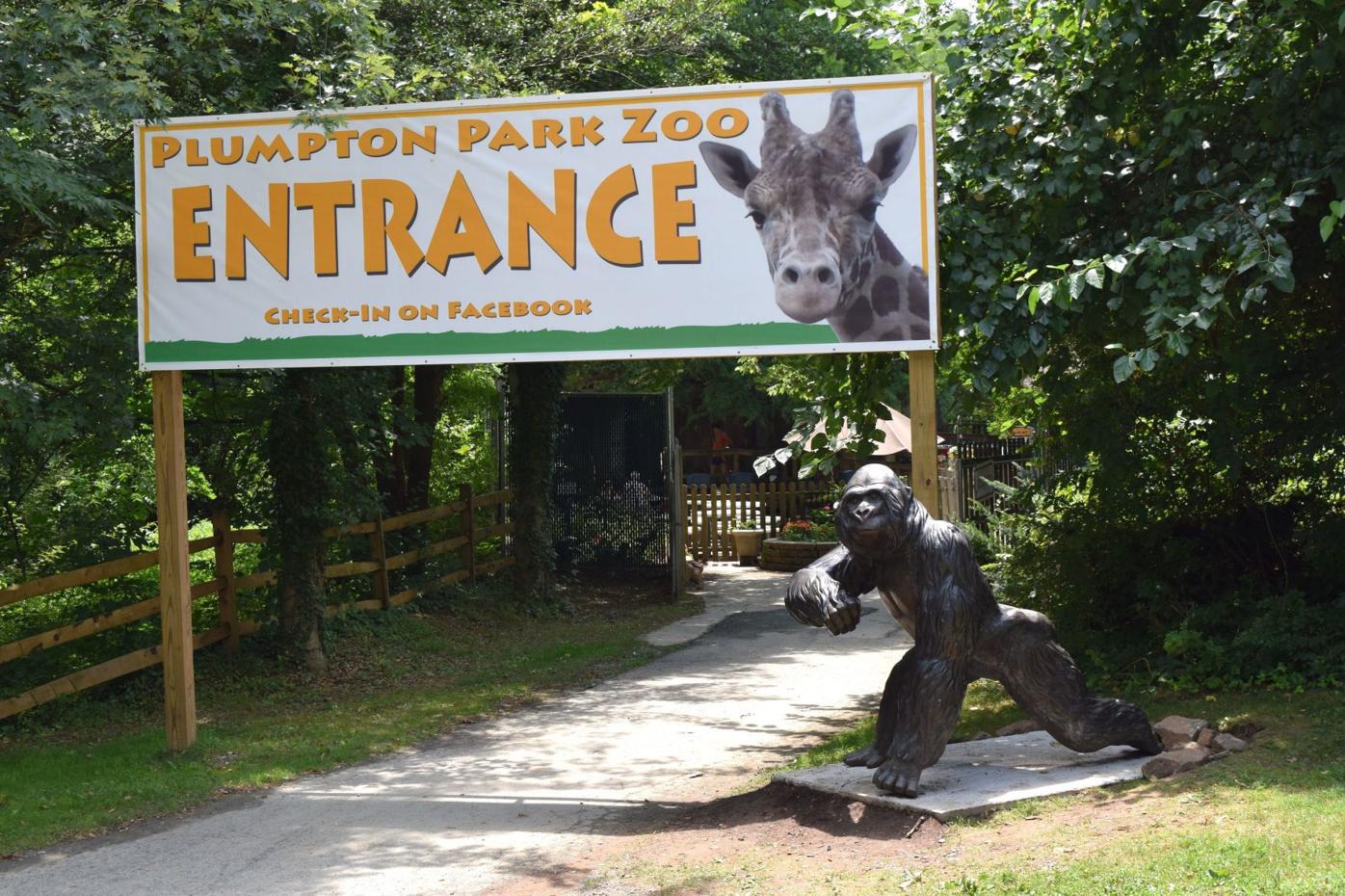 Plumpton park zoo coupon