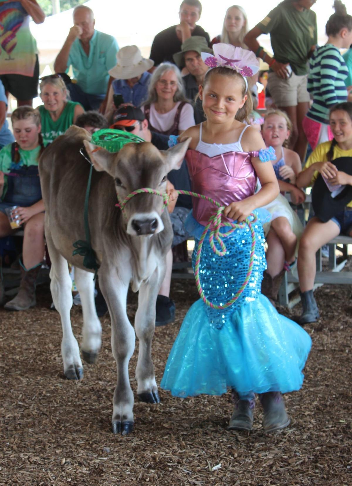 Cecil Fair Pretty Animal Contest