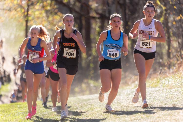 Cecil County XC runners end season at state championships | Push ...