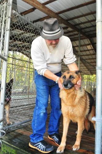 On the job: Kennel operator | Business | cecildaily.com