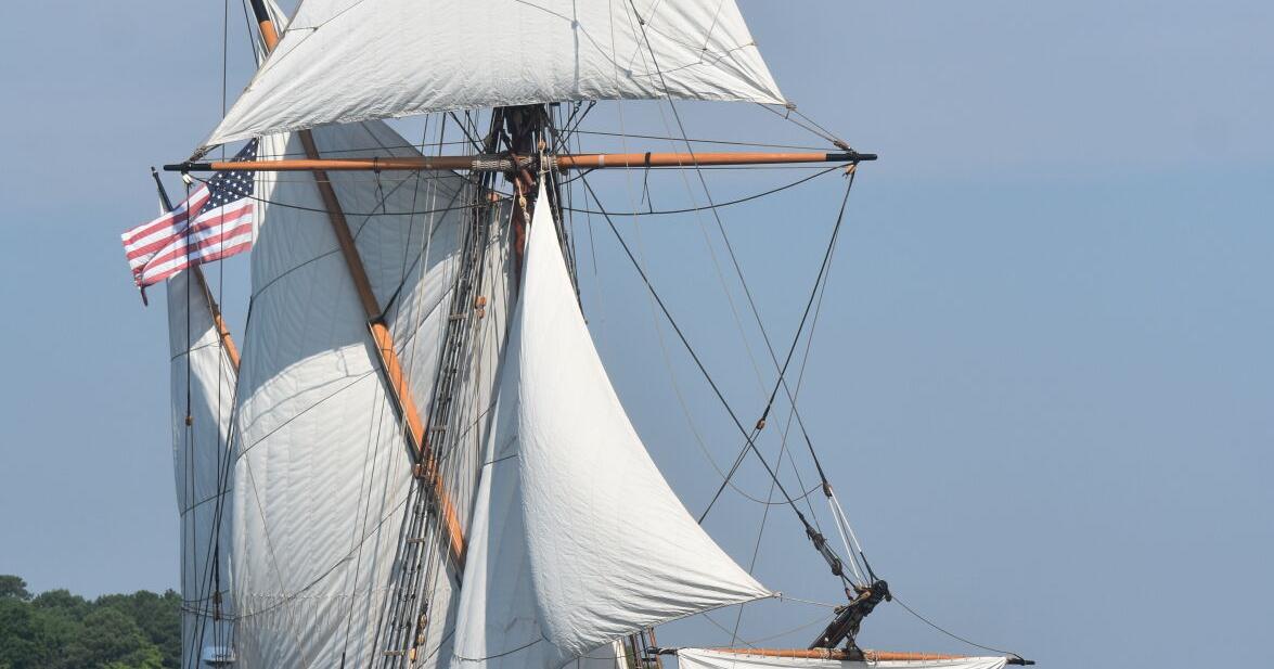 News Briefs: Canal Race Saturday in Chesapeake City, Maryland Dove comes to Havre de Grace - Vimarsana News