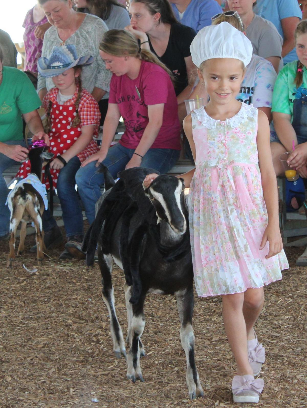 Cecil Fair Pretty Animal Contest