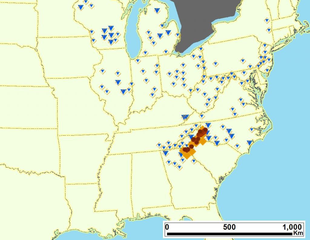 Cicadas arrive four years ahead of schedule | Local News | cecildaily.com