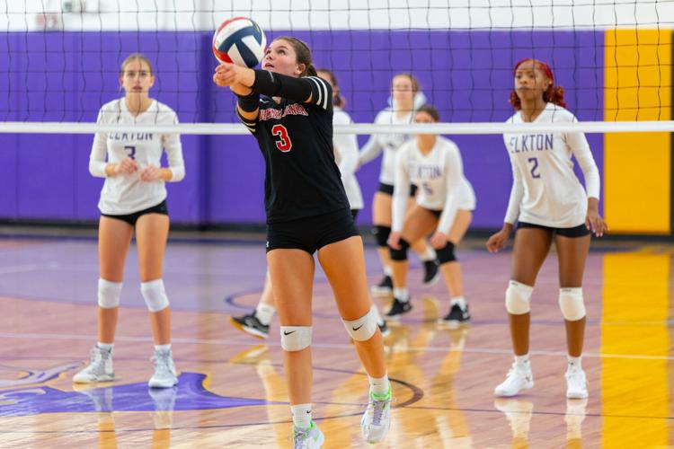 Eagles sweep Golden Elks in volleyball season opener Sports