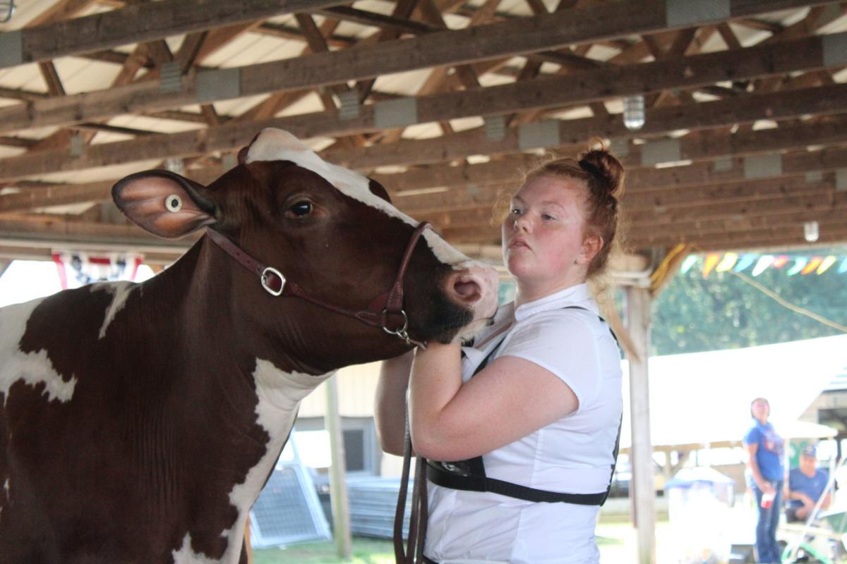 Fitting & Showing alows 4-H to shine