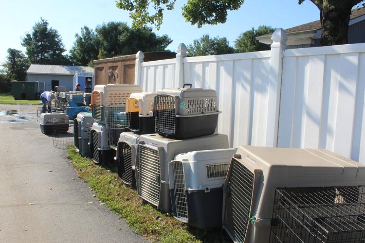 Cecil Cares volunteers get the jobs done News cecildaily com