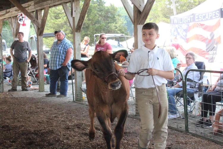 Cecil County Fair returns July 21 Agriculture