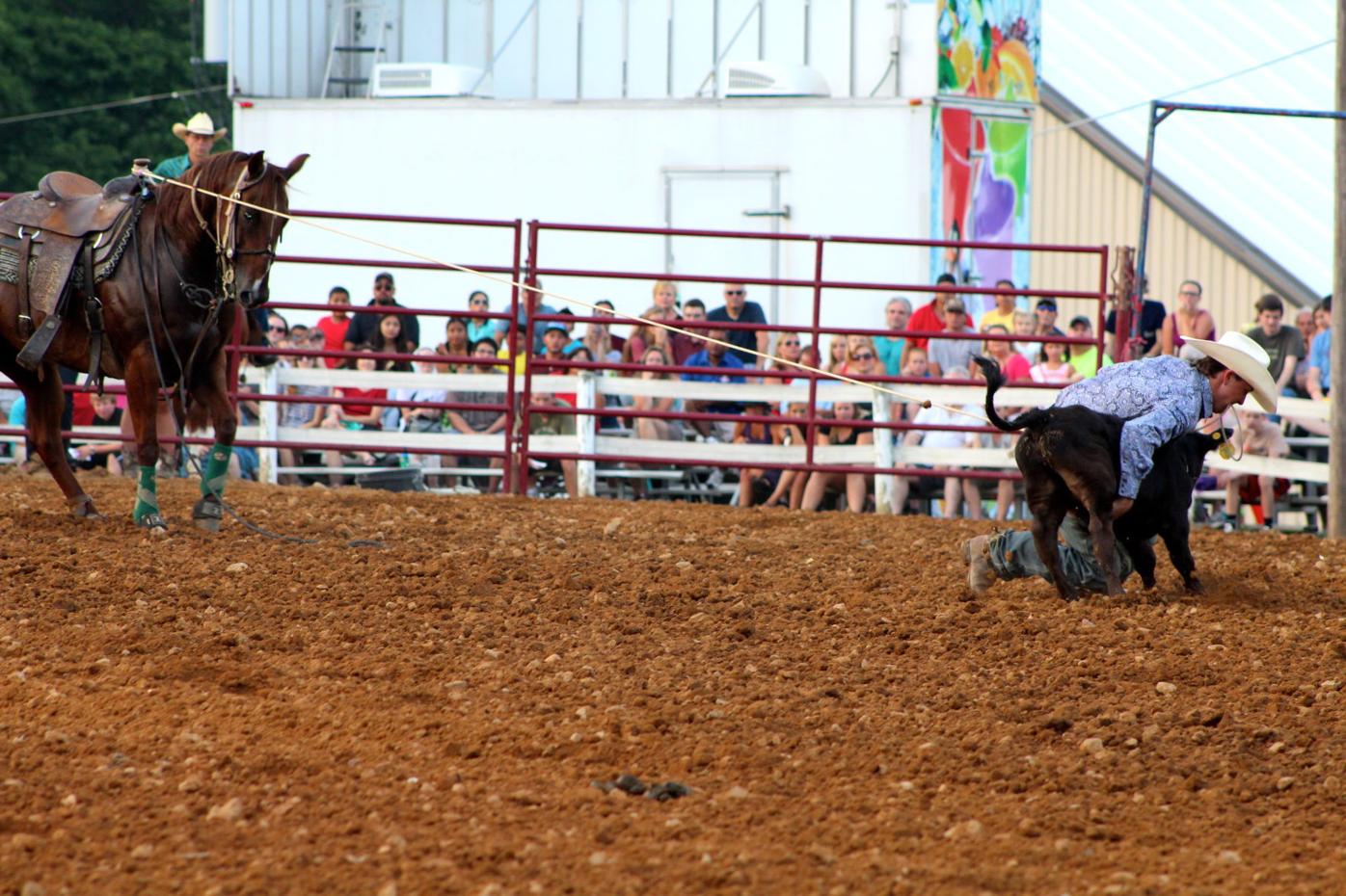 Scenes from the 2016 Cecil County Fair | News Gallery | cecildaily.com Scenes from the 2016 Cecil County Fair | News Gallery | cecildaily.com