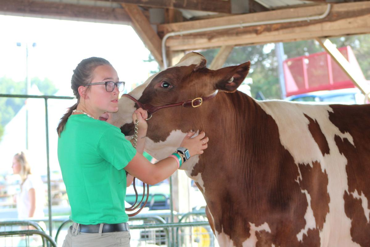 Cecil County Fair Livestock Auction