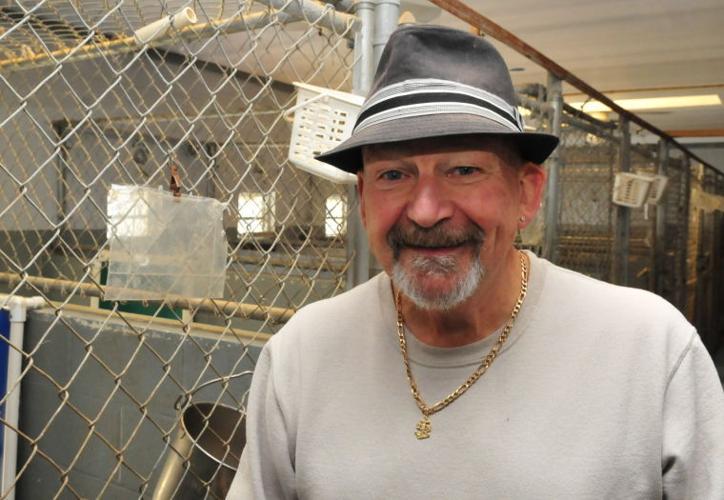 On the job: Kennel operator | Business | cecildaily.com