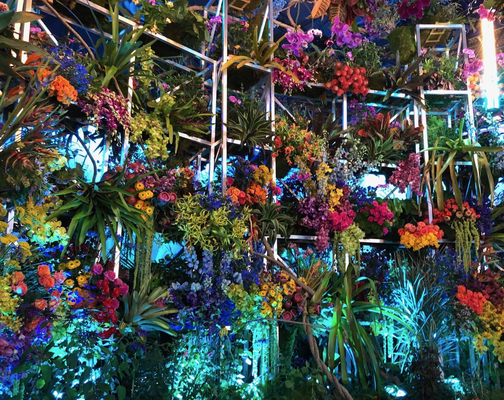 Philadelphia Flower Show dazzles garden lovers Features