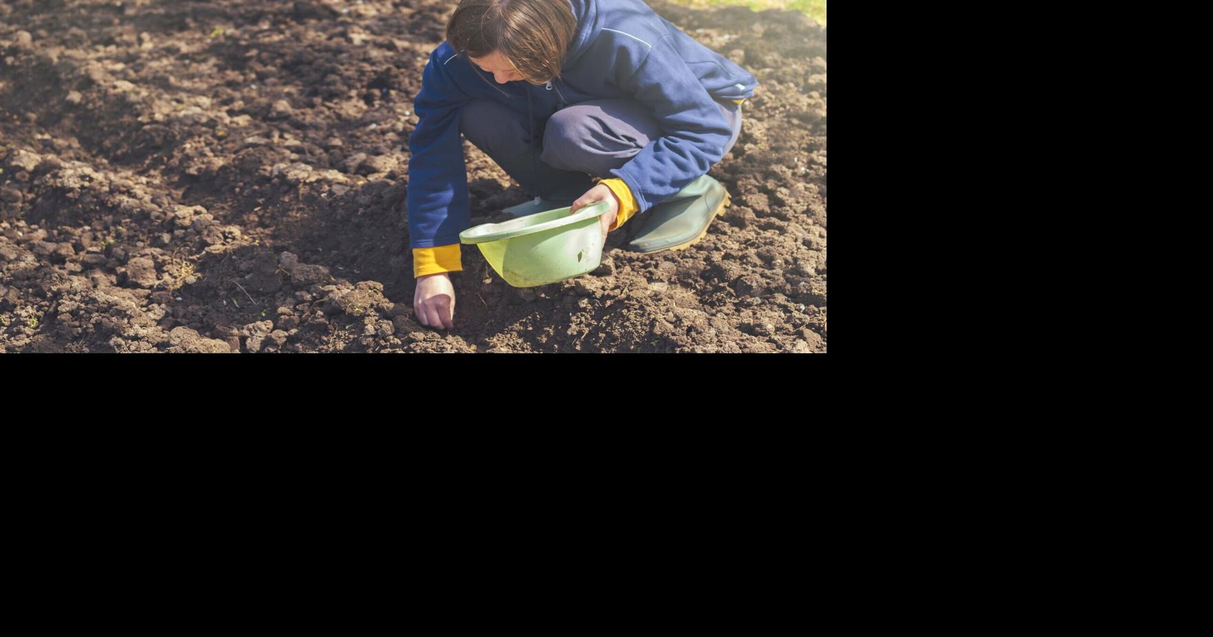 What to do now to prepare your Southern Utah garden for spring