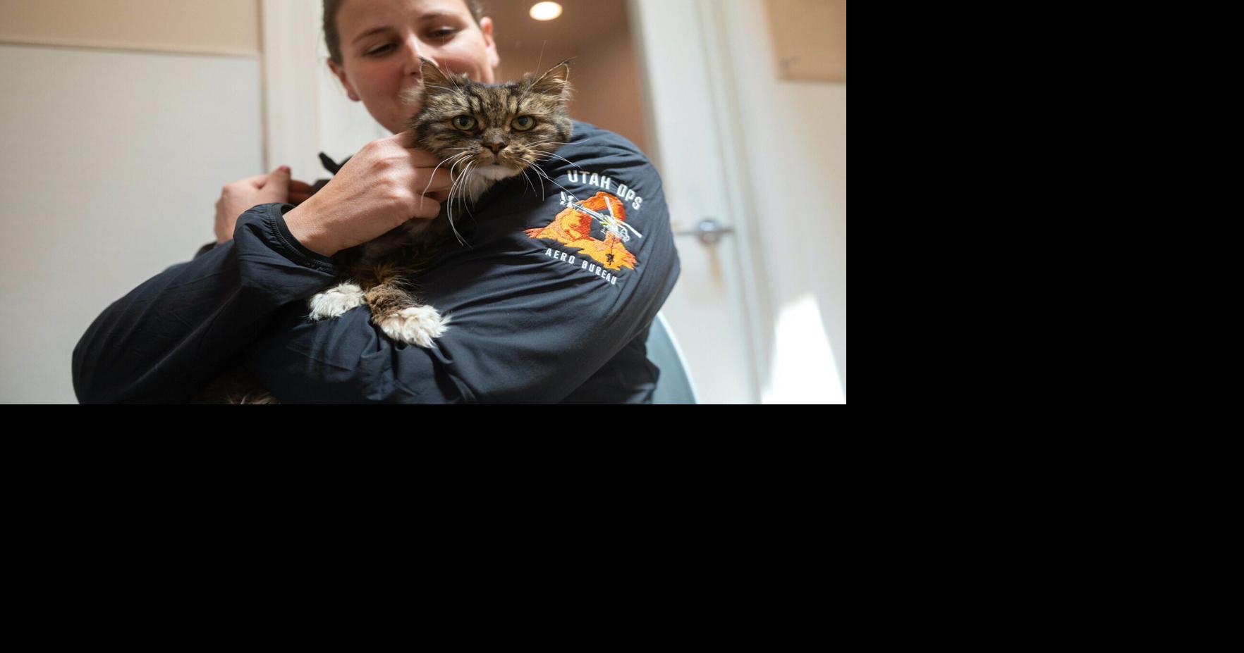 2025's top pet moments from Best Friends Animal Society