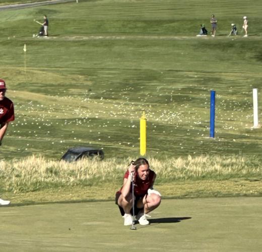 Region 9 girls golf: Cedar Reds power way to 19-stroke win at Green ...