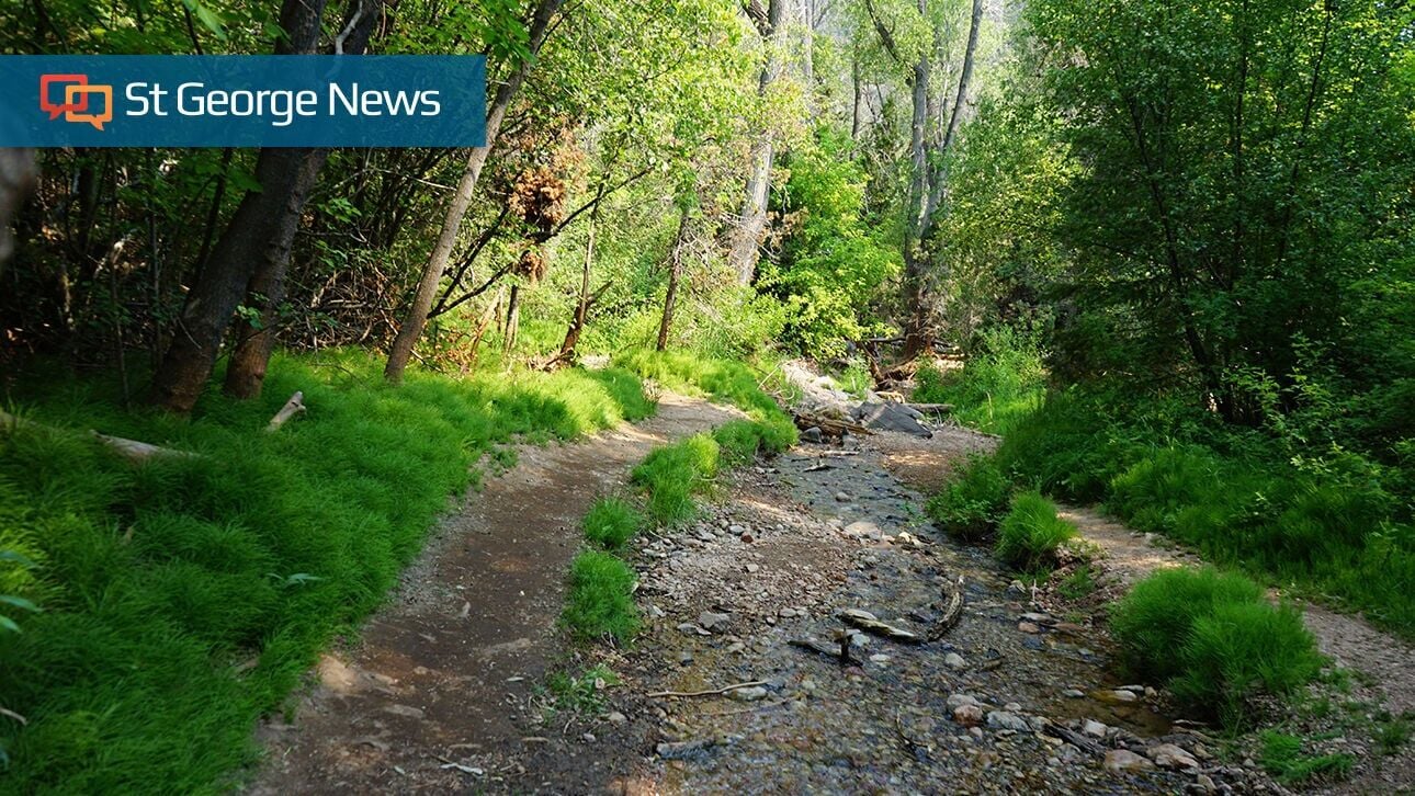 Access to Utah wildlife management areas could shift again under new bills