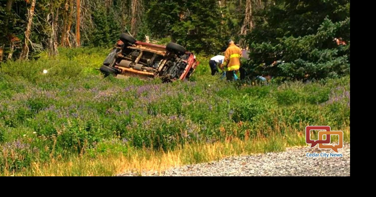 SUV rolls off road, splits tree in half | Local News | cedarcityutah.com