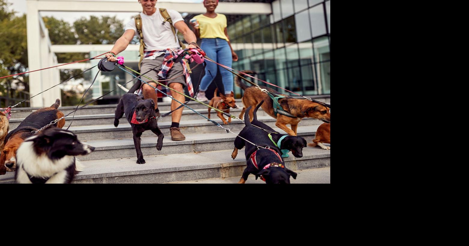 Utahns join national trend in turning to 'side hustles' to supplement employment income