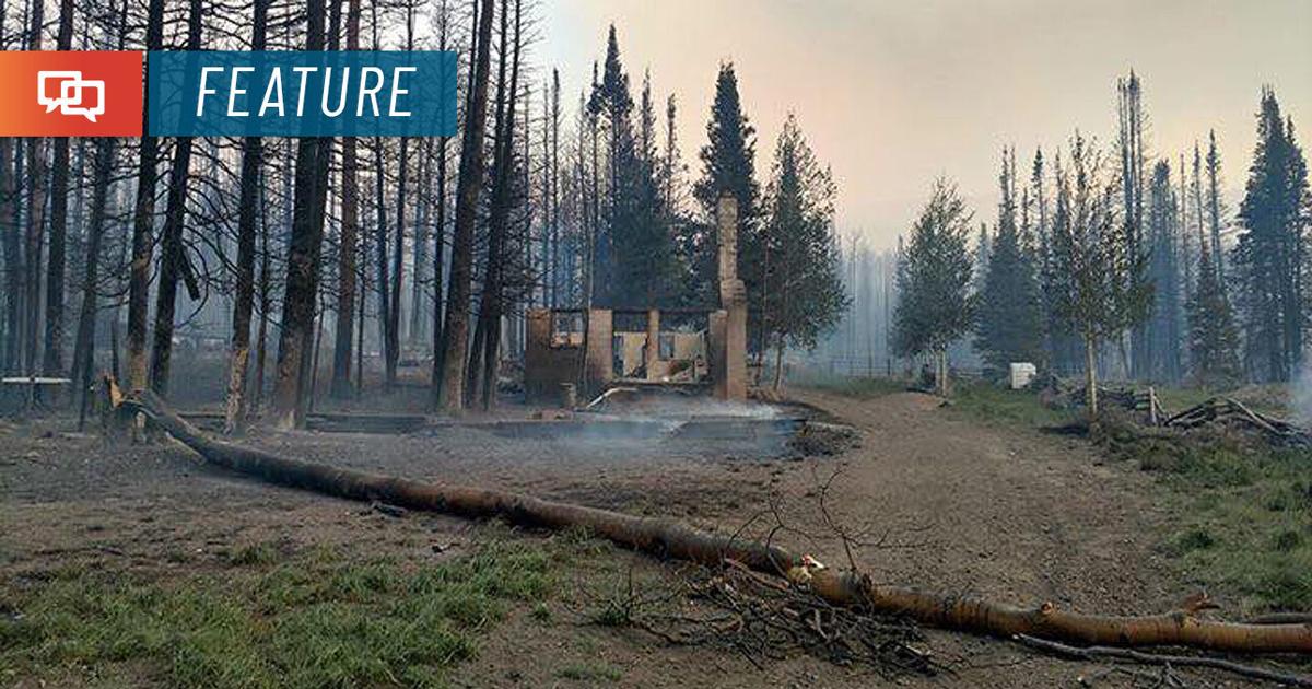 How to create a defensible space around your home to protect it from ...