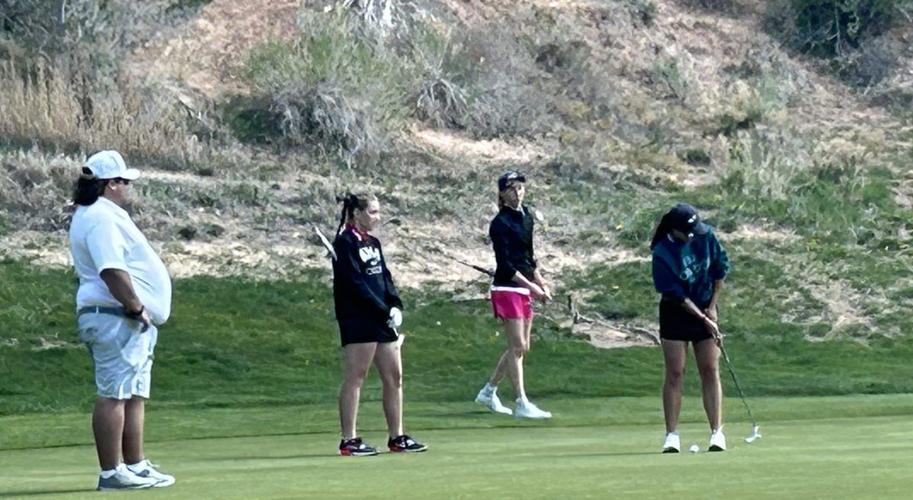 Region 9 girls golf: Cedar Reds cruise to 38-stroke win on home course ...