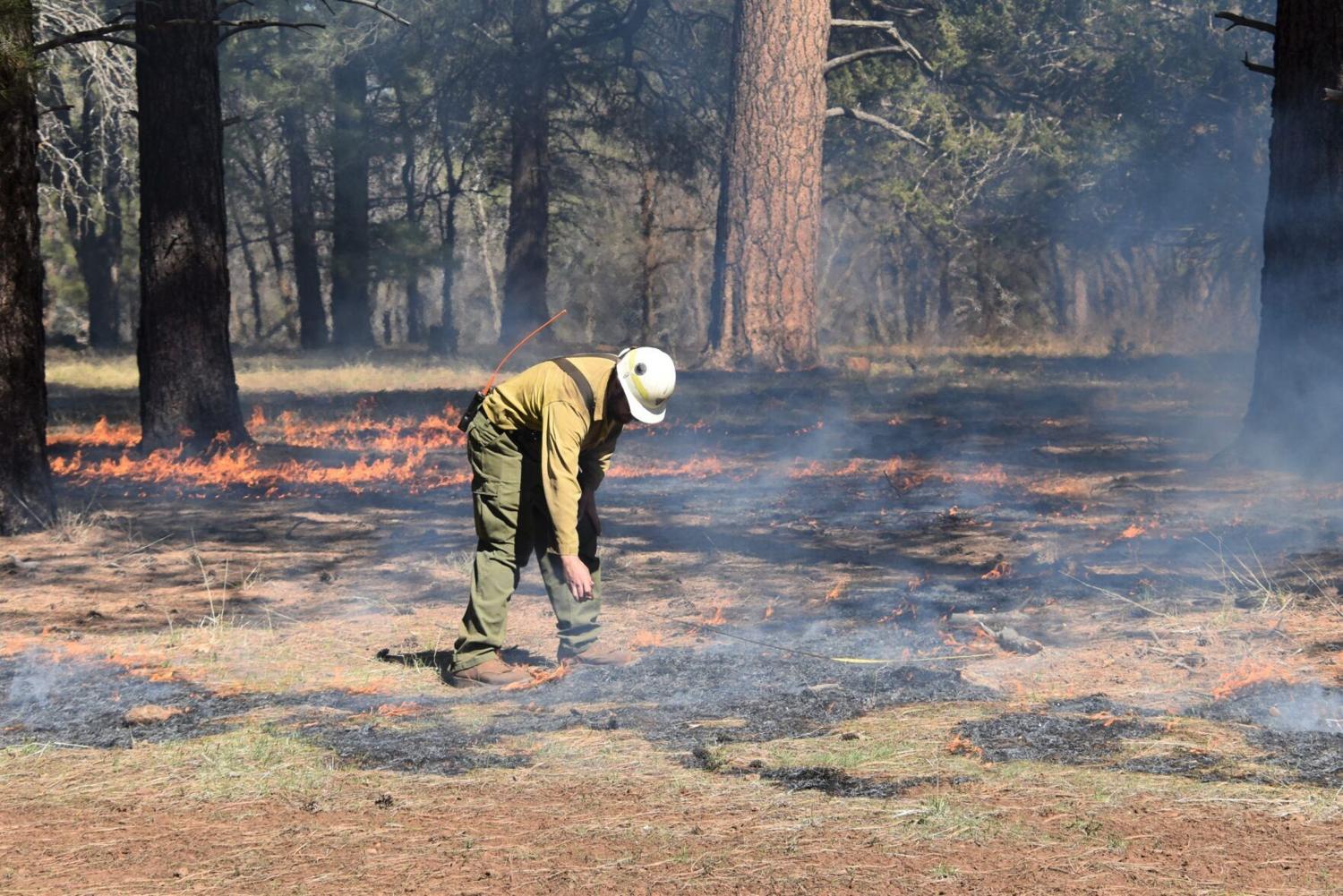 Fire restrictions now in effect for Southern Utah, Arizona Strip; stricter measures for Zion