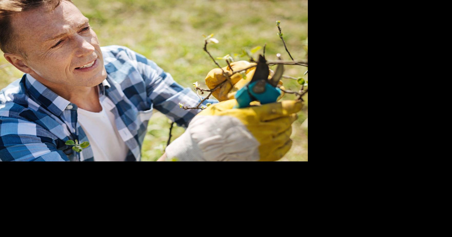 Southern Utah gardening tips: What to do before spring arrives