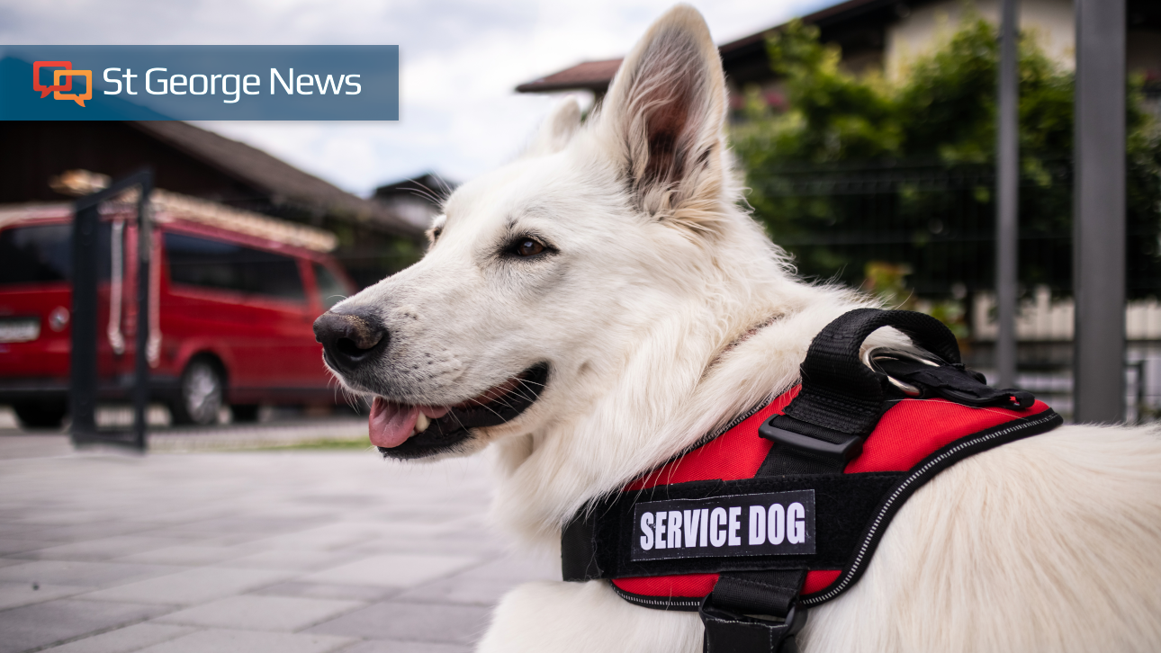 Abuse of service animals could become a felony under new Utah bill