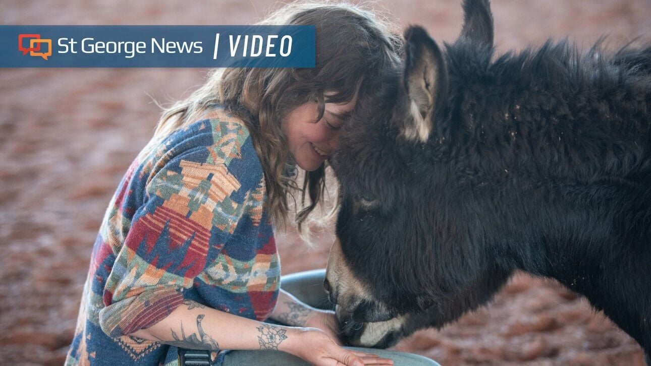 Mini donkey sisters find hope and a new home after rescue in Southern Utah