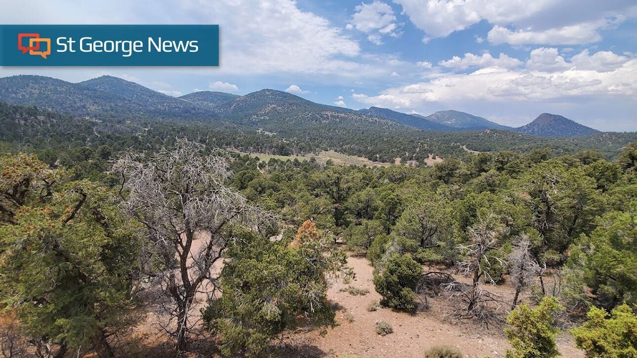 Bureau invites public to weigh in on project affecting over 500K acres in Southern Utah