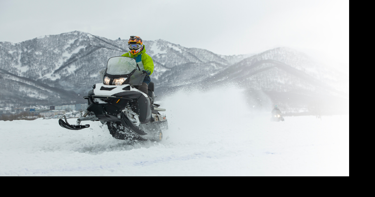 Bipartisan legislation introduced to halt running down wildlife with motorized vehicles on federal lands