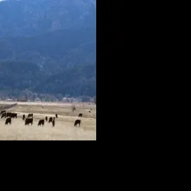 Bureau of Land Management proposes changes to grazing regulations, limitations on decision-making