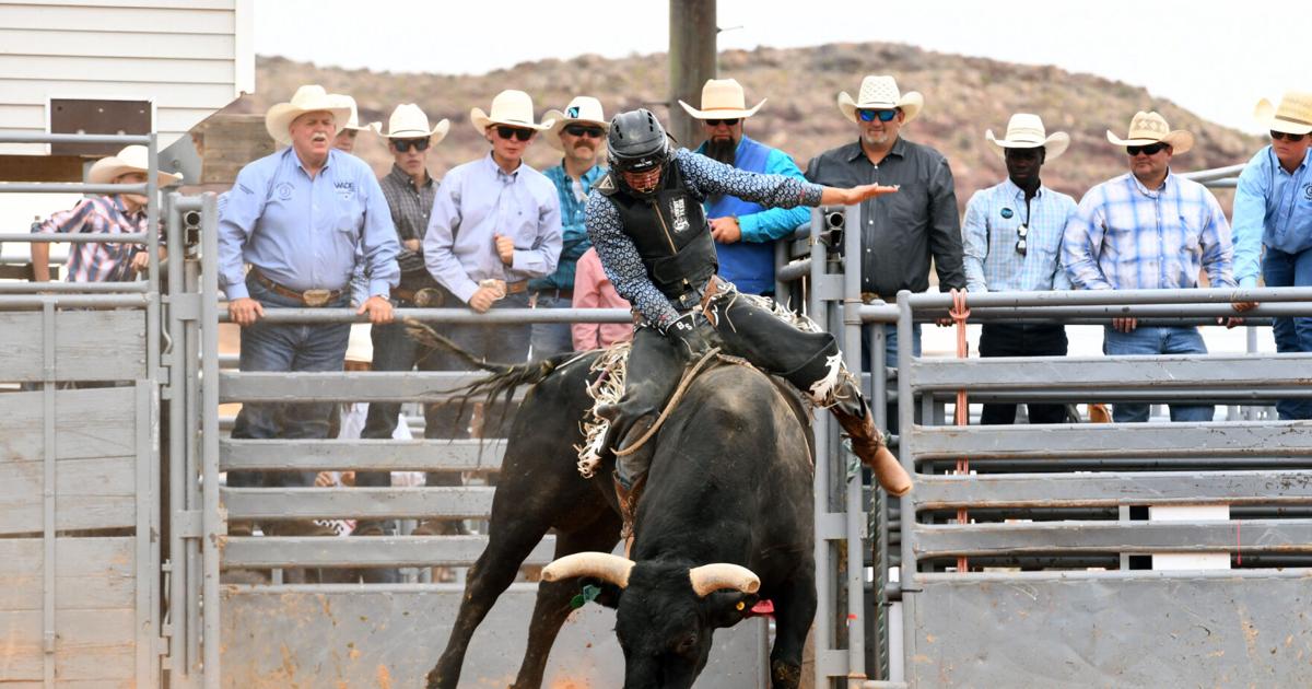 Southern Utah rodeo athletes shine at UHSRA state finals | Local News ...