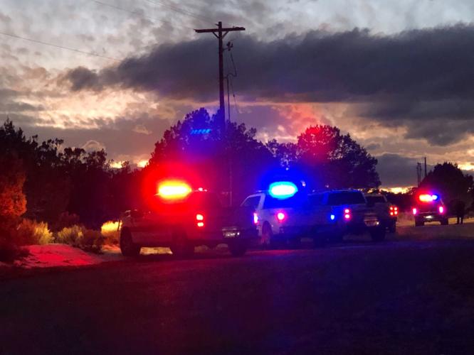 ‘A second chance’ Iron County woman shot by police sentenced to 1 year