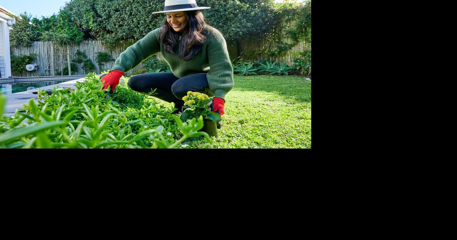 Is it spring or winter? April tips for guessing gardeners