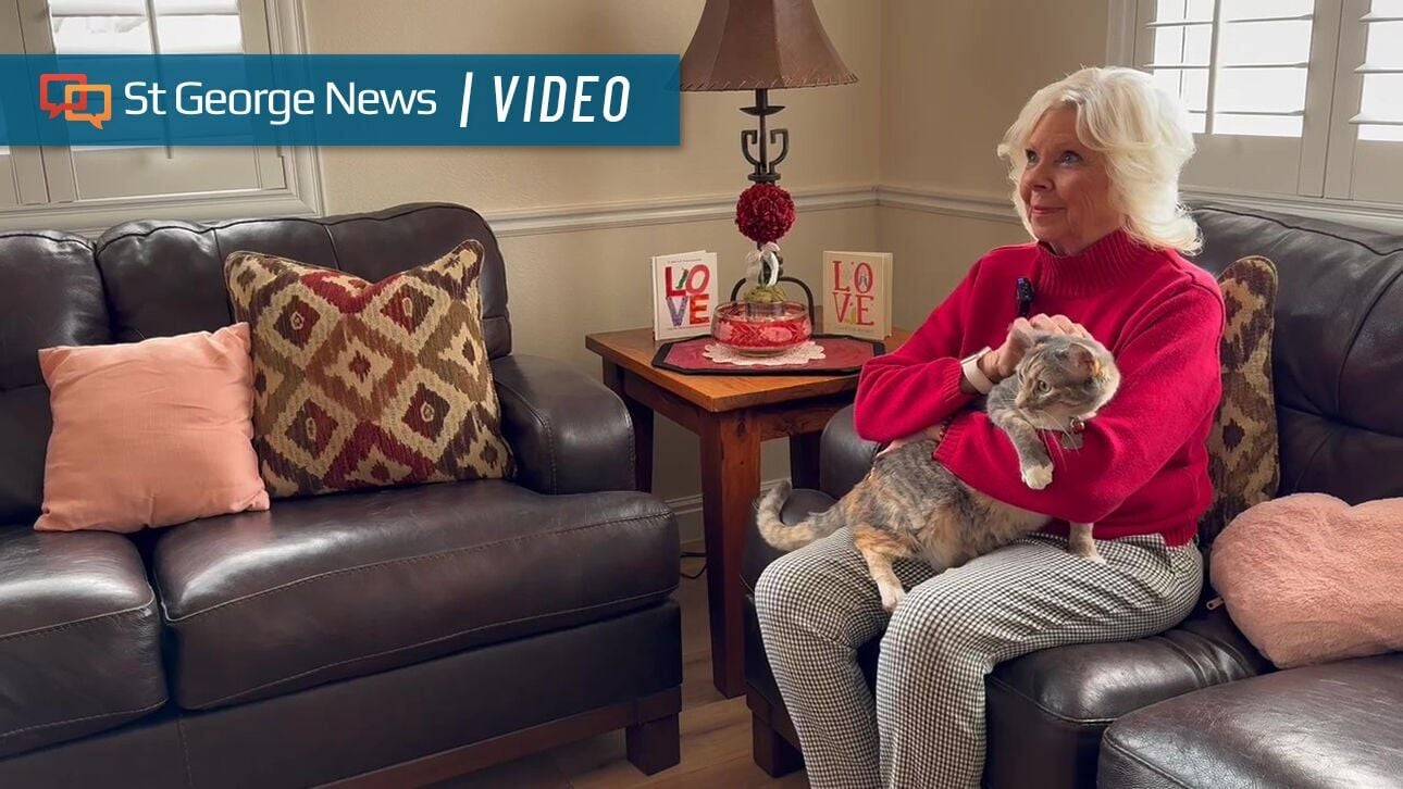 'Southern Utah Belle' of a cat vies for America's Favorite Pet, $10K