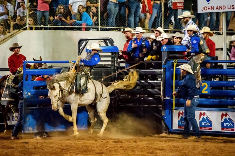 Photo Gallery: Dixie Round-Up Rodeo fans see arena record broken ...