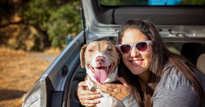 Your pet's peace of mind is just as important as yours during the hustle and bustle of holiday travel